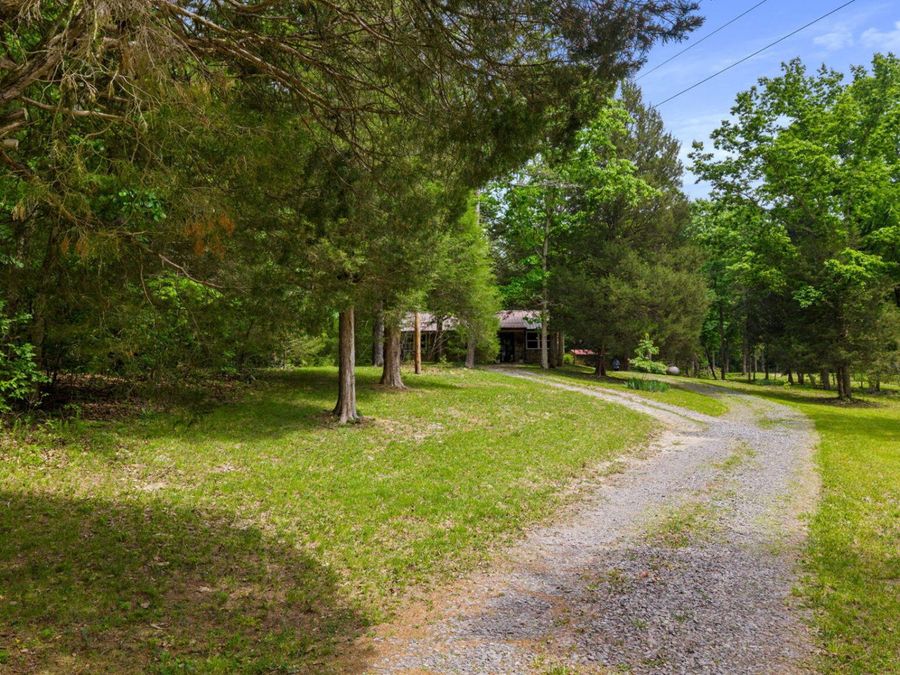 Property Image 40