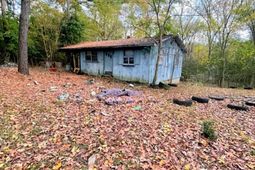 2536 Georgetown Road  photo 4
