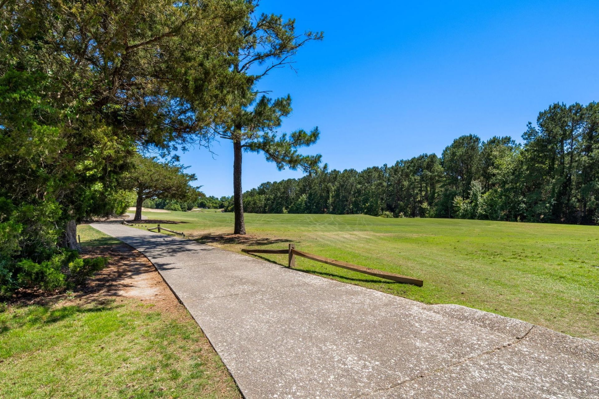 6203 Catalina Dr. Photo 30