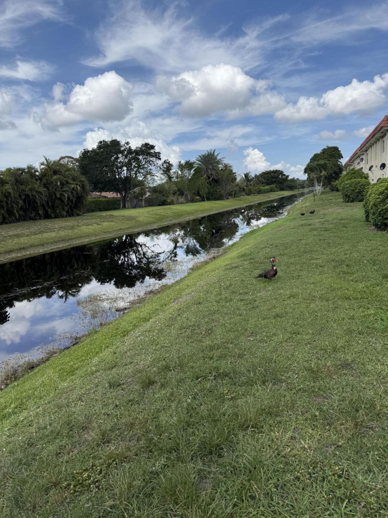 11080 Royal Palm Boulevard, Coral Springs, FL 33065 Photo