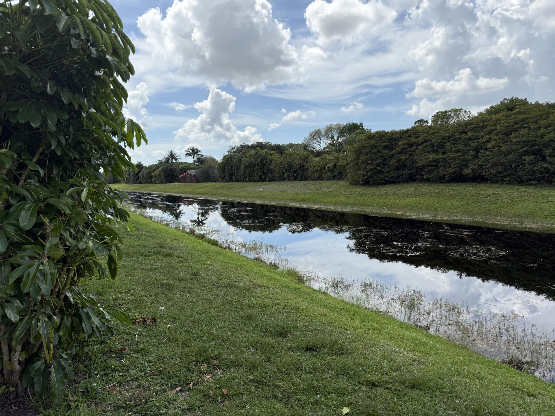 11080 Royal Palm Boulevard, Coral Springs, FL 33065 Photo