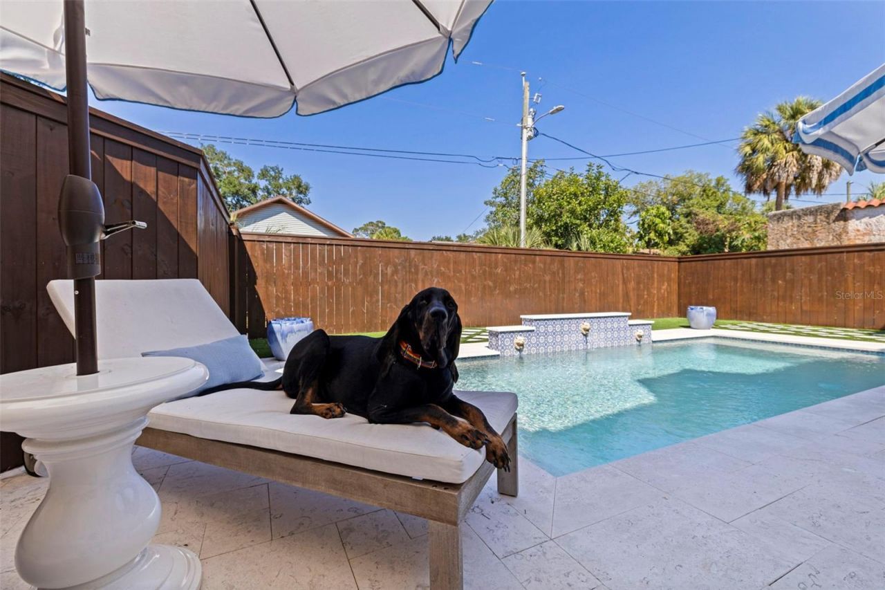 1101 Jungle Avenue N, Saint Petersburg, FL 33710 Photo