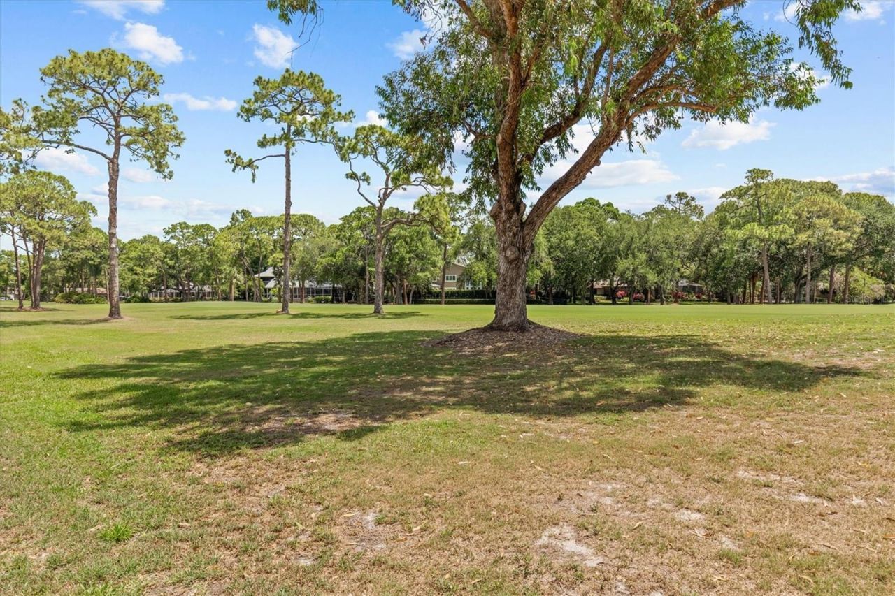 13915 Whisperwood Drive, Clearwater, FL 33762 Photo