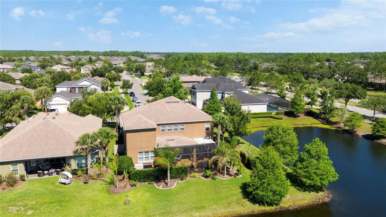 8791 Bella Vita Circle , Land O Lakes, FL 34637 Photo