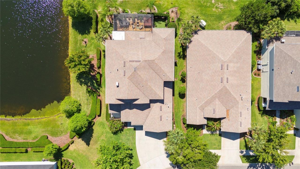 8791 Bella Vita Circle , Land O Lakes, FL 34637 Photo