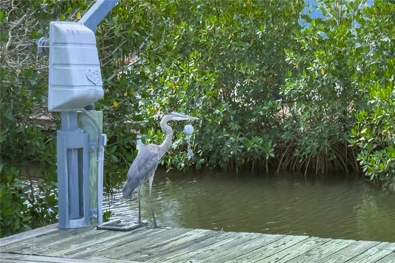 4517 8th Street Court E, Ellenton, FL 34222 Photo