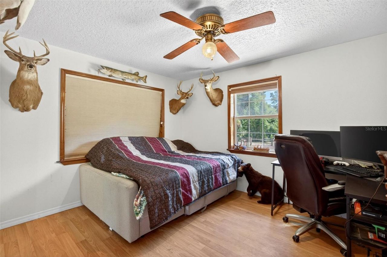 5390 East Avenue , De Leon Springs, FL 32130 Photo