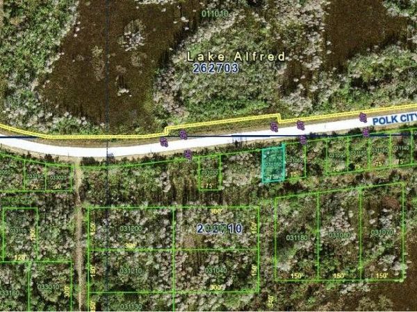 POLK CITY ROAD , POLK CITY, FL 33868