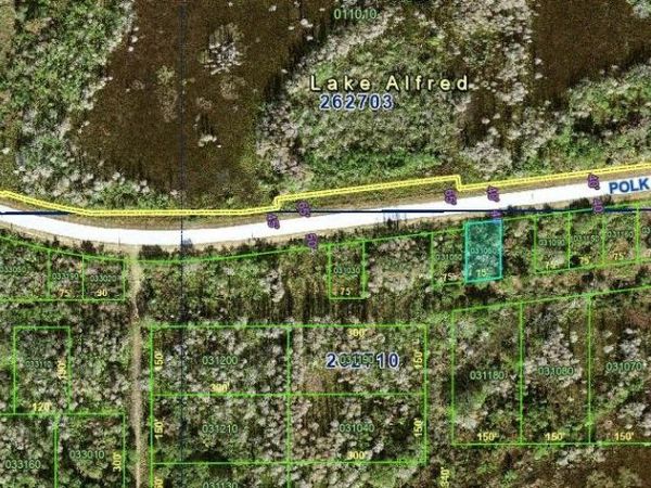 POLK CITY ROAD , POLK CITY, FL 33868