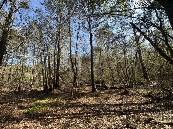 Lot E Snider Avenue, Other, AL 00000
