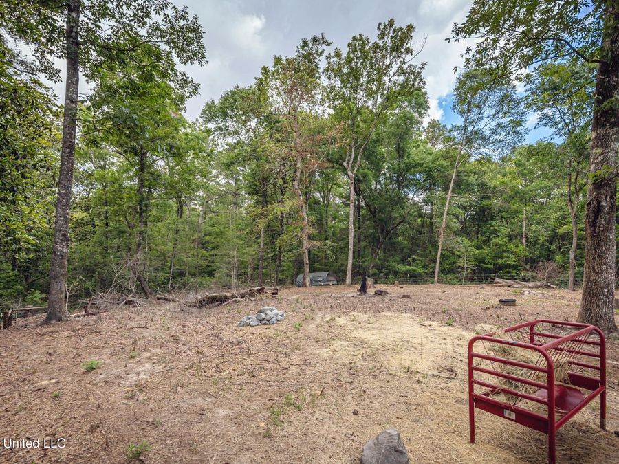 Property Image 62