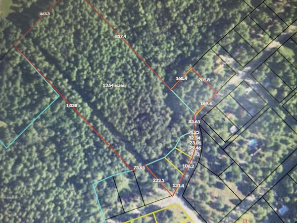 0 Dogwood Lane, Mcrae-Helena, GA 31055