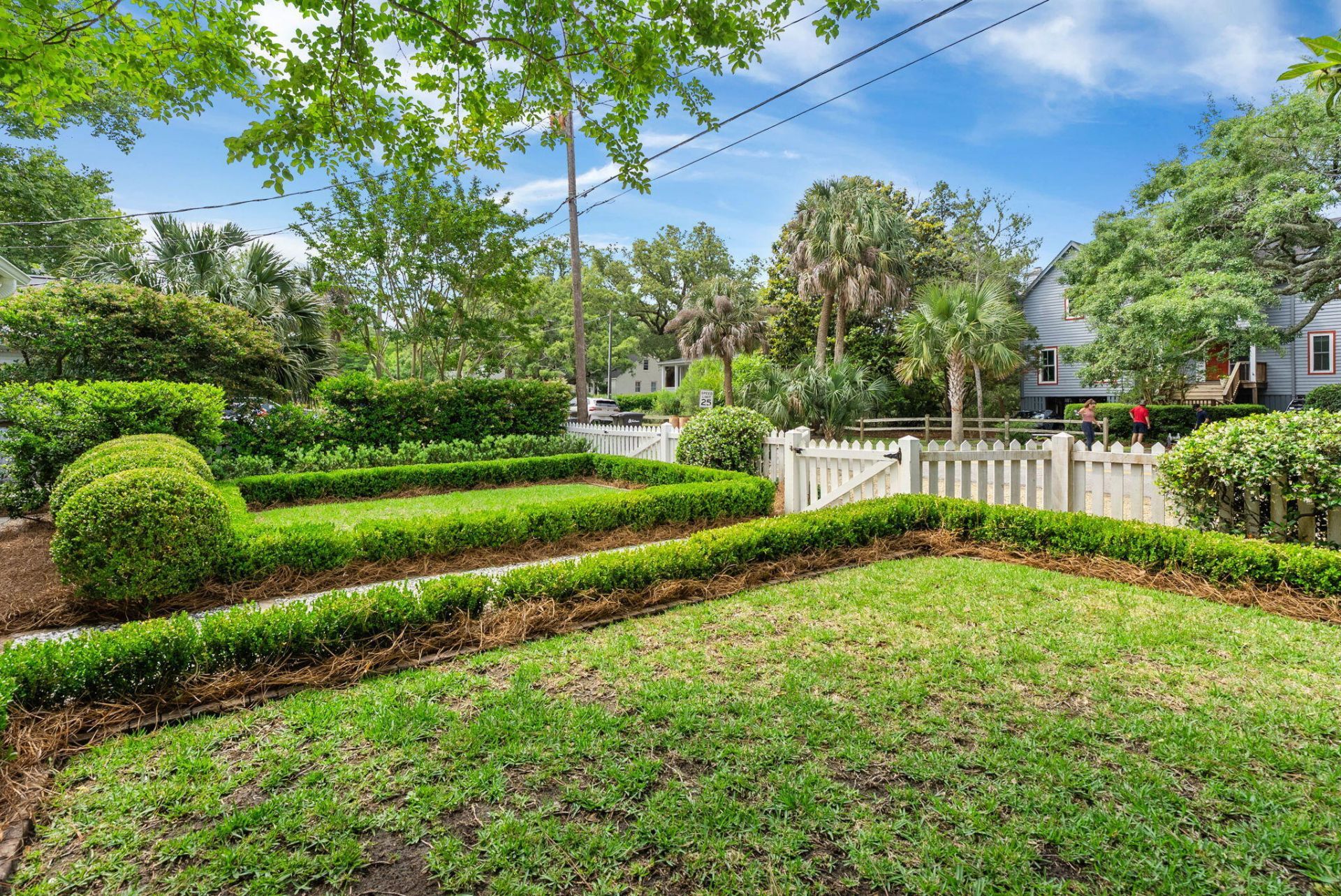 708 Pitt Street Photo 5