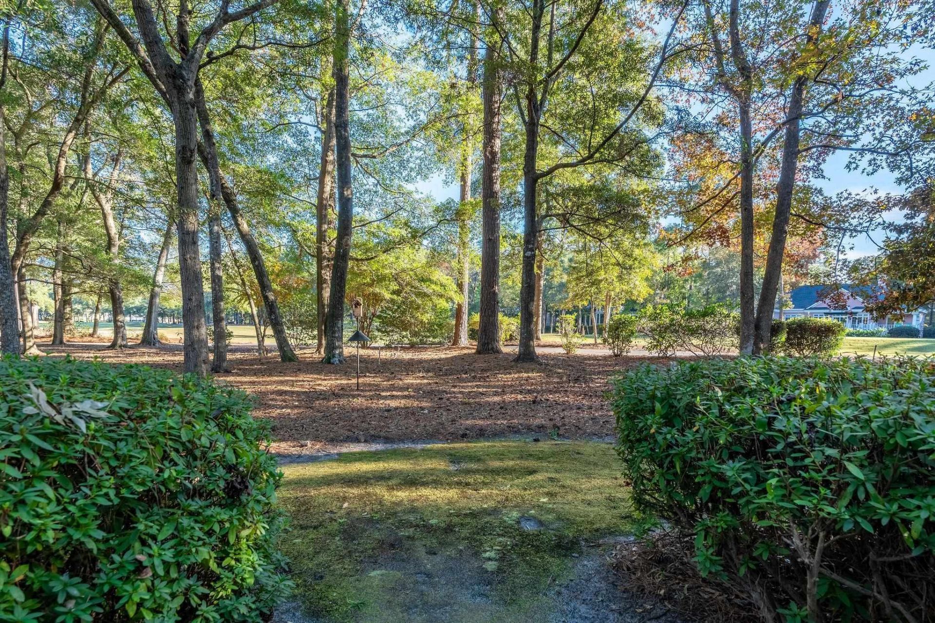 3031 Oak Grove Bend Photo 22
