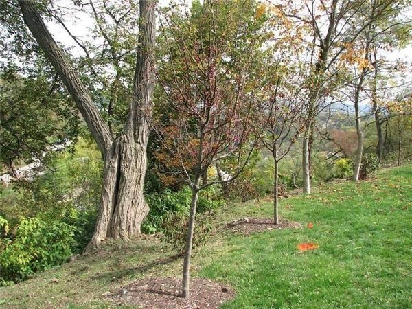 2643 Fernwald Road, Pittsburgh, PA 15217