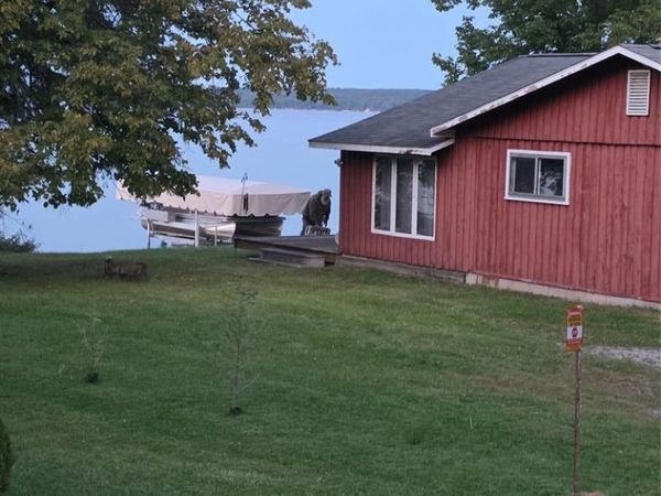 5136 Hardwood Trail, Alcona Twp, MI 49747