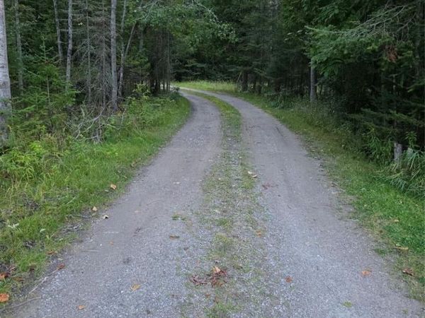 5136 Hardwood Trail , Alcona Twp, MI 49747