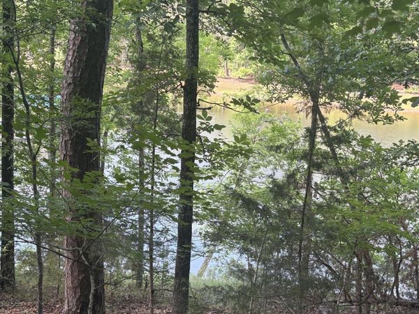 L5 Bl65 Overlook Point, McCormick, SC 29835