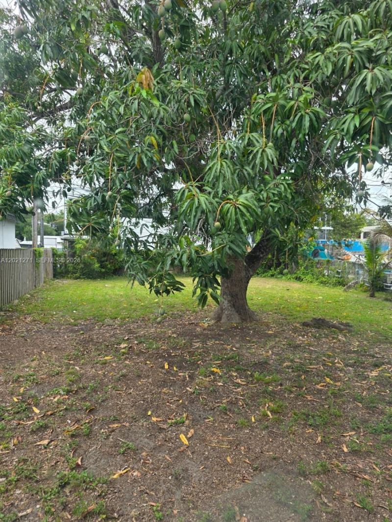315 NW 53rd St , Miami, FL 33127 Photo