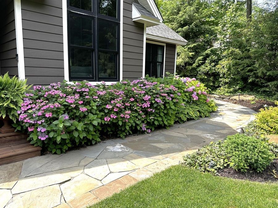 Property Image 73