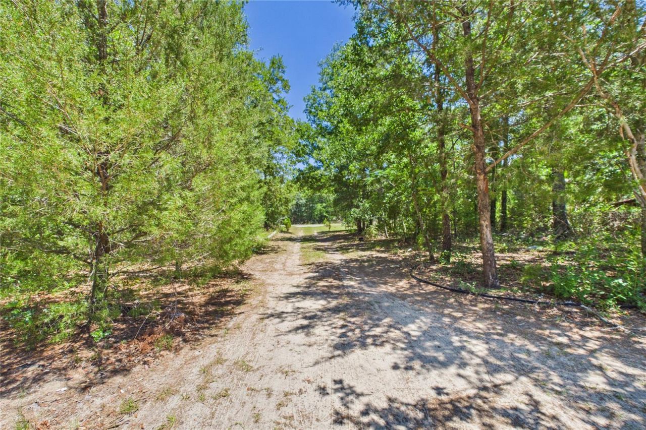 6844 S Irma Point, Lecanto, FL 34461 Photo