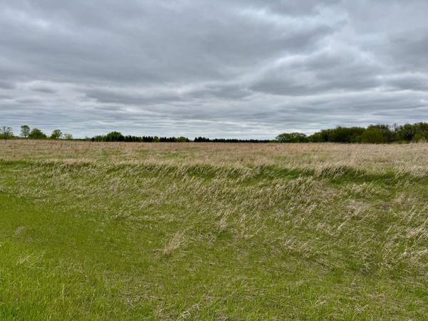 TBD County Highway 138 , Parkers Prairie, MN 56361