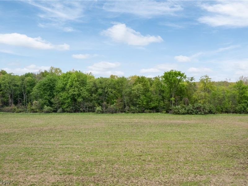 Chatham Road, Spencer, OH 44275 Photo 4