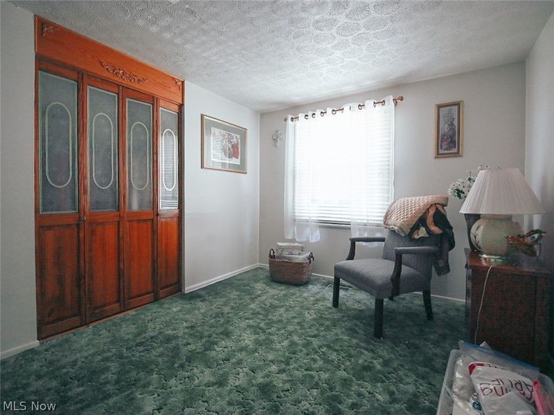 100 Blossom Lane, Niles, OH 44446 Photo 18