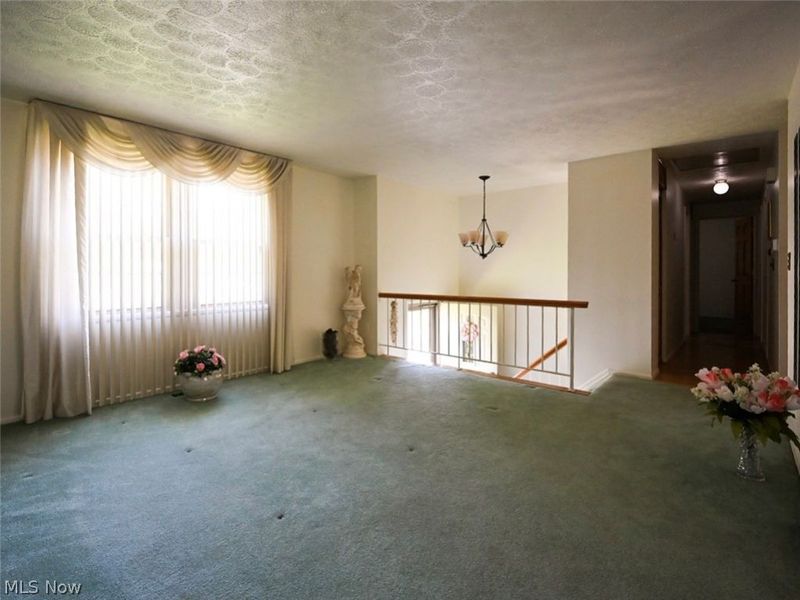 100 Blossom Lane, Niles, OH 44446 Photo 4