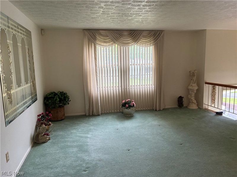 100 Blossom Lane, Niles, OH 44446 Photo 9