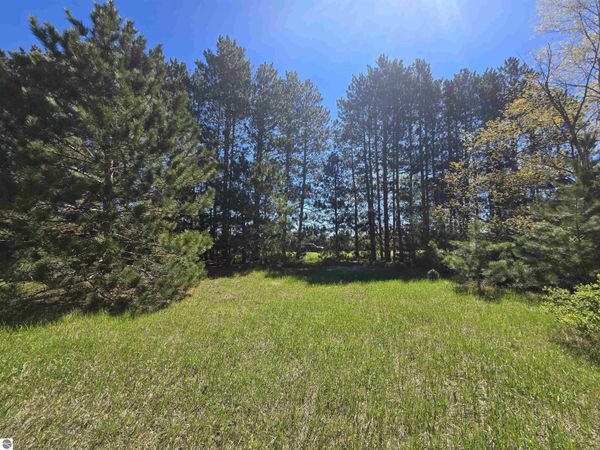 3 Road N, Mesick, MI 49668