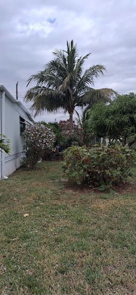 4135 Meadow View Drive, Boynton Beach, FL 33436 Photo