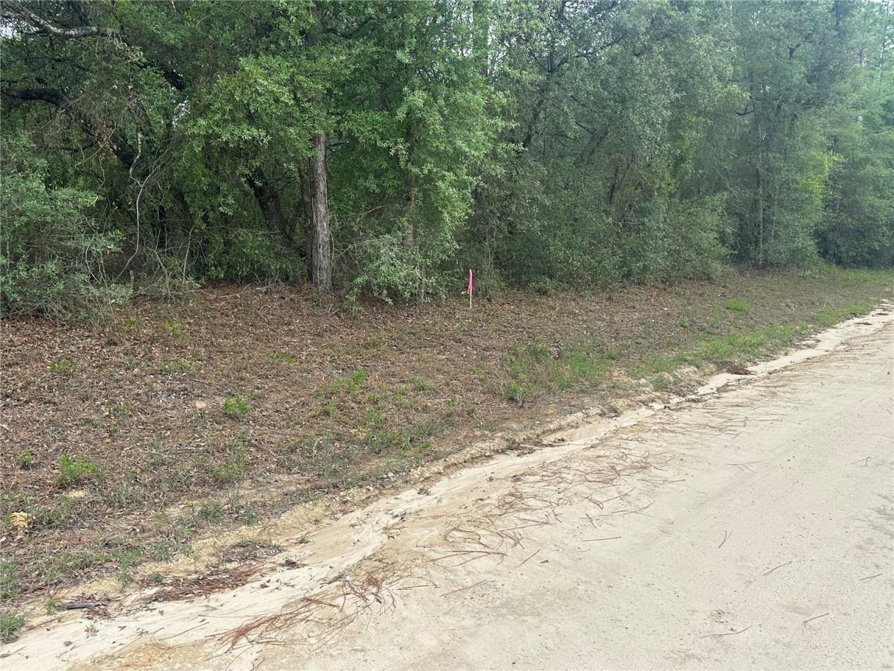 Ne 112th Court , Archer, FL 32618 Photo