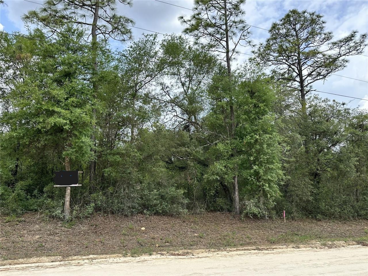 Ne 112th Court , Archer, FL 32618 Photo