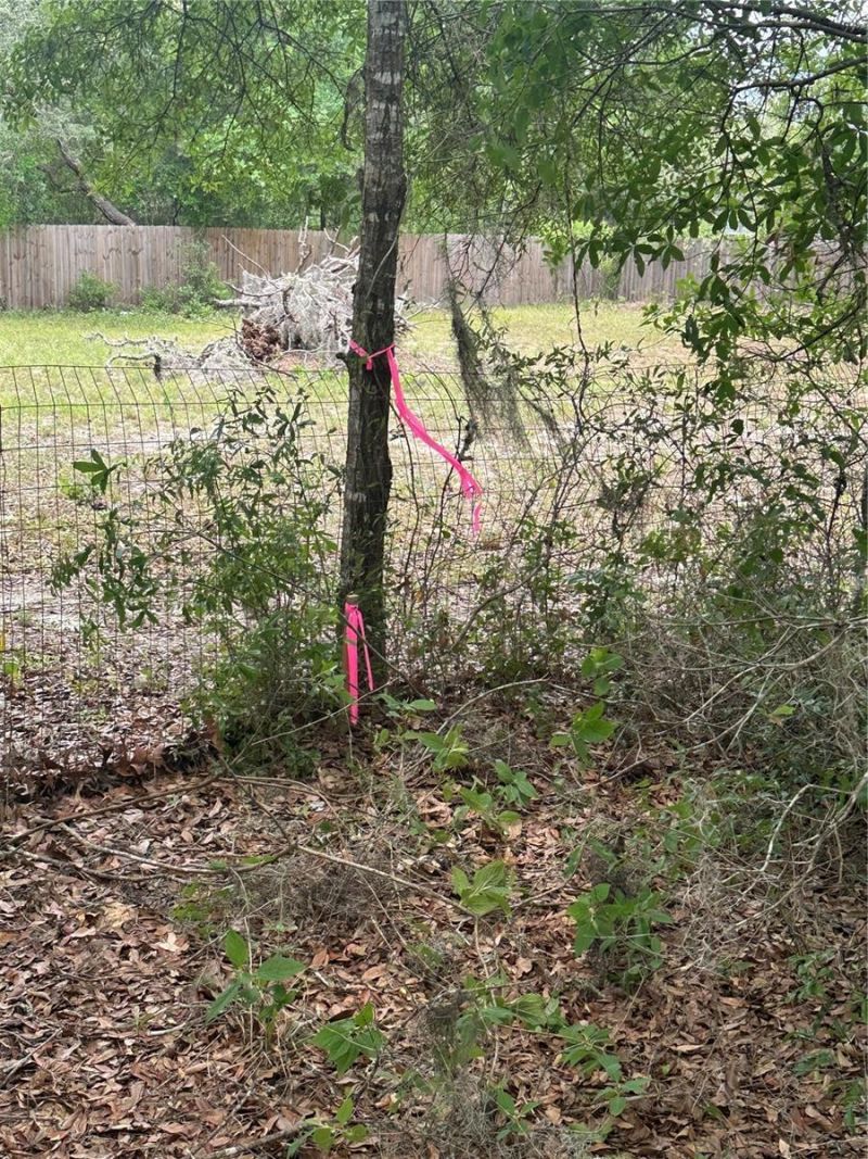 Ne 112th Court , Archer, FL 32618 Photo