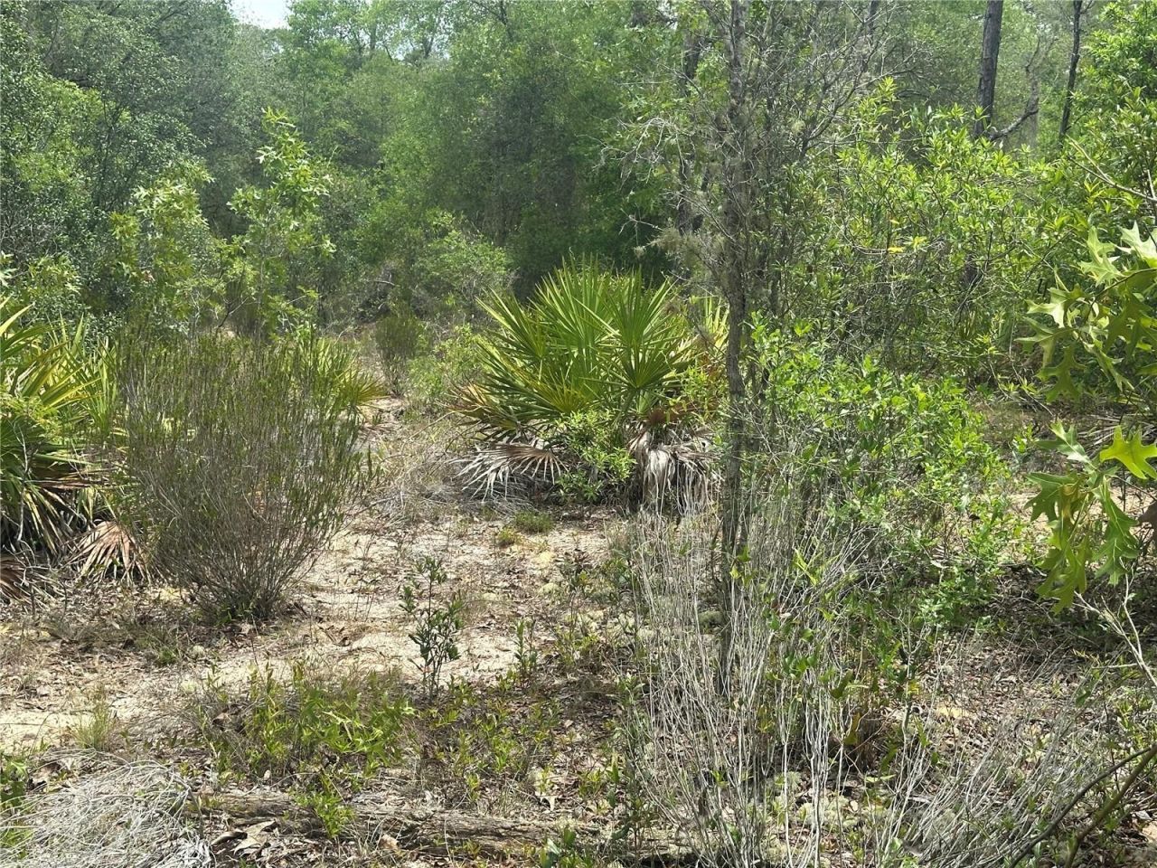 Ne 112th Court , Archer, FL 32618 Photo