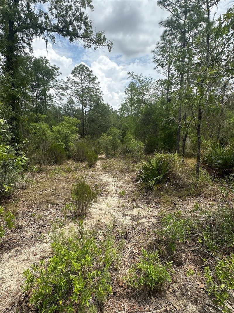 Ne 112th Court , Archer, FL 32618 Photo