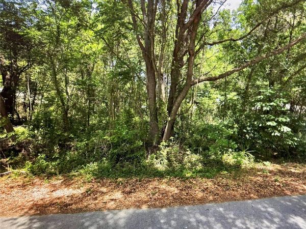 41 PINE TRACE COURSE , OCALA, FL 34472