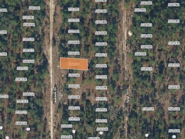 XX JACKSON DRIVE , HAWTHORNE, FL 32640