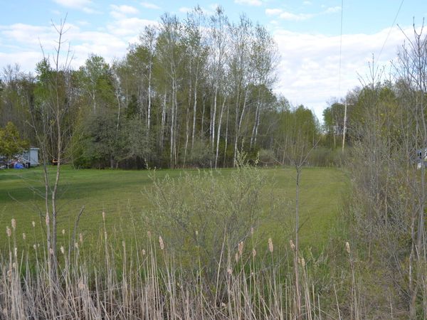 2956 3 Rivers Road, Gladwin, MI 48624