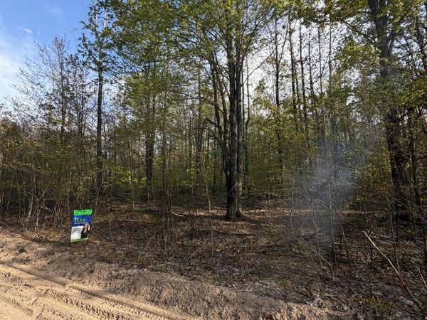 L 228-229 Forest Hill Drive, Frederic, MI 49733