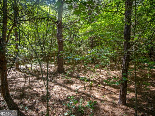 10.5+/- ACRES Bronco Road, La Fayette, GA 30728