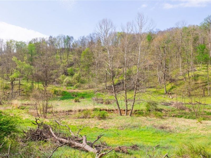 0 Twp Rd 63 Deans Fork, Unit 3, Whipple, OH 45788 Photo 2