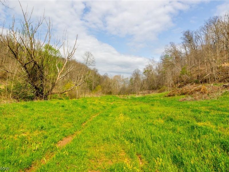 0 Twp Rd 63 Deans Fork, Unit 3, Whipple, OH 45788 Photo 4