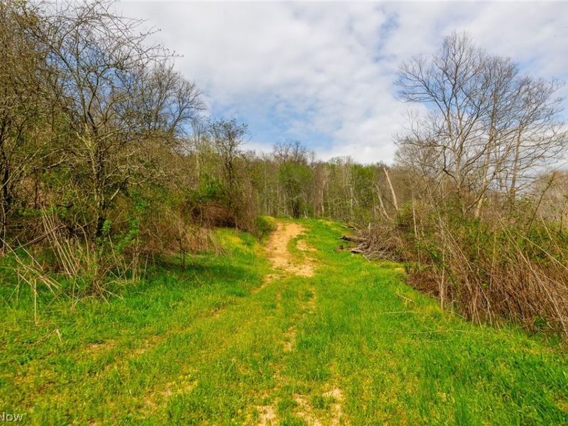 0 Twp Rd 63 Deans Fork, Unit 3, Whipple, OH 45788 Photo 5