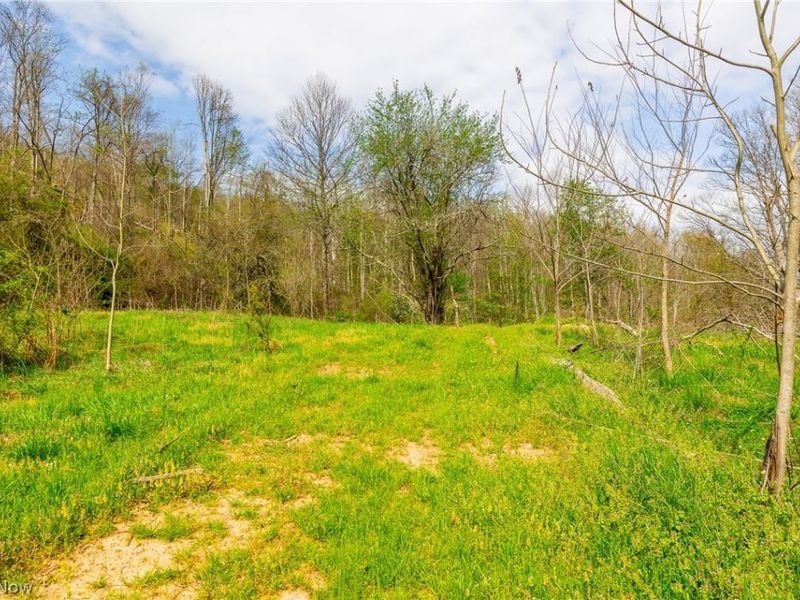 0 Twp Rd 63 Deans Fork, Unit 3, Whipple, OH 45788 Photo 6