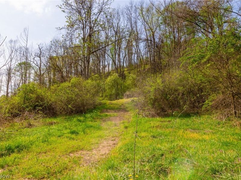 0 Twp Rd 63 Deans Fork, Unit 3, Whipple, OH 45788 Photo 8