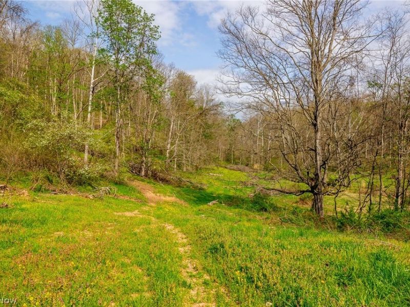 0 Twp Rd 63 Deans Fork, Unit 3, Whipple, OH 45788 Photo 9