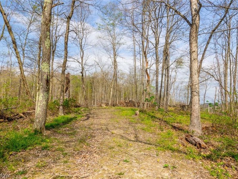 0 Twp Rd 63 Deans Fork Rd, Unit 4, Whipple, OH 45788 Photo 10