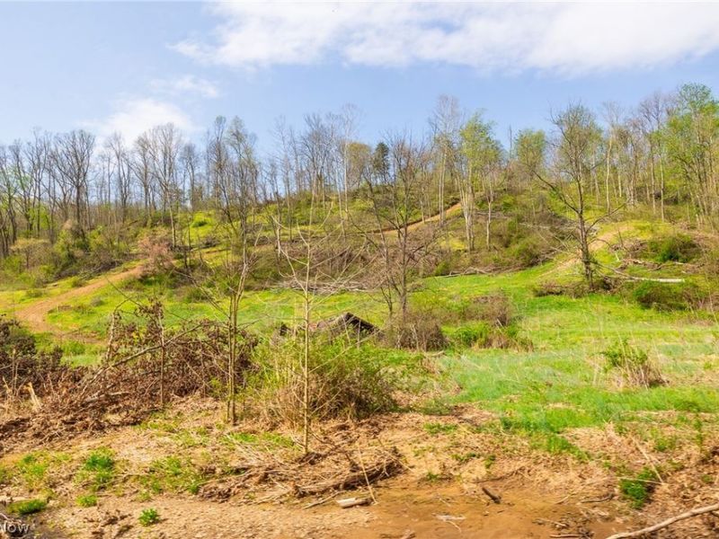 0 Twp Rd 63 Deans Fork Rd, Unit 4, Whipple, OH 45788 Photo 3